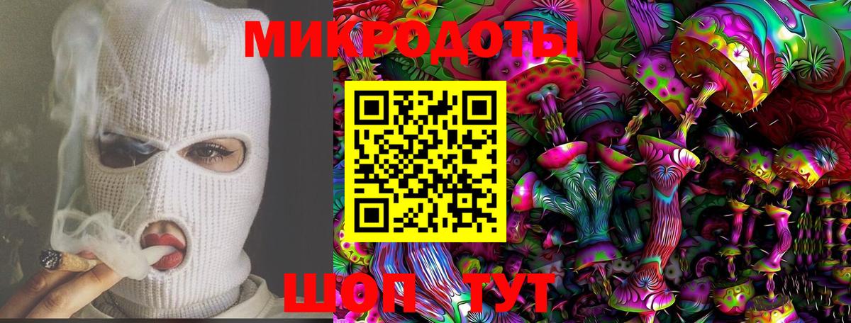 Волгоград  Псилоцибиновые грибы Psilocybe  Вход с VPN  сколько стоит  Галлюциногенные грибы MAGIC MUSHROOMS 